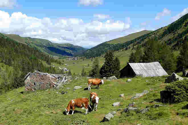 Sommer in Schönfeld