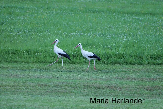 Schön das ihr da seid !