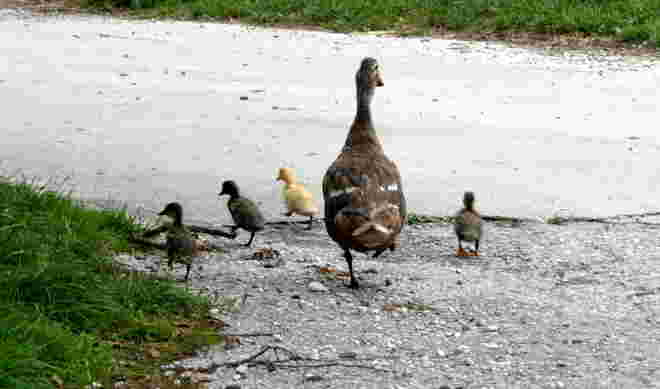 nichts wie weg,,,