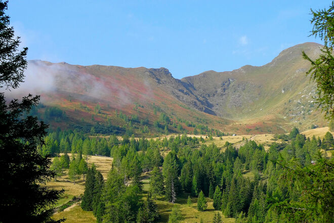 Sie  "brennt" wieder
