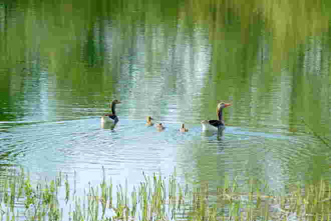 Famielienausflug