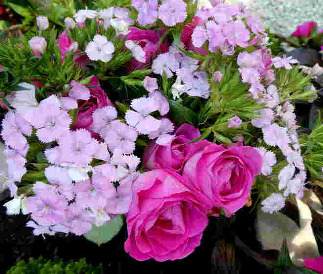 Blumen zum Muttertag