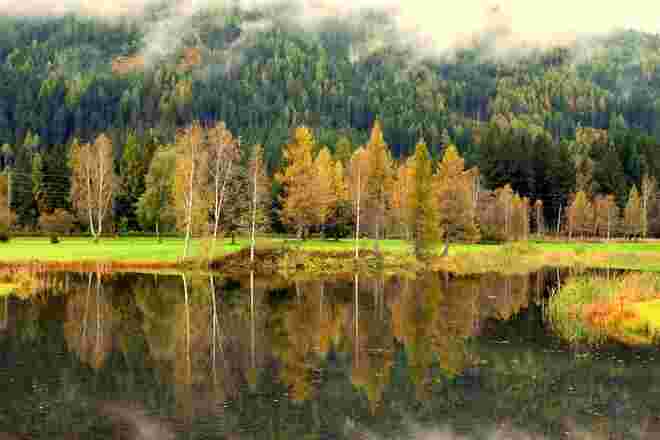 Es herbstelt am Teich