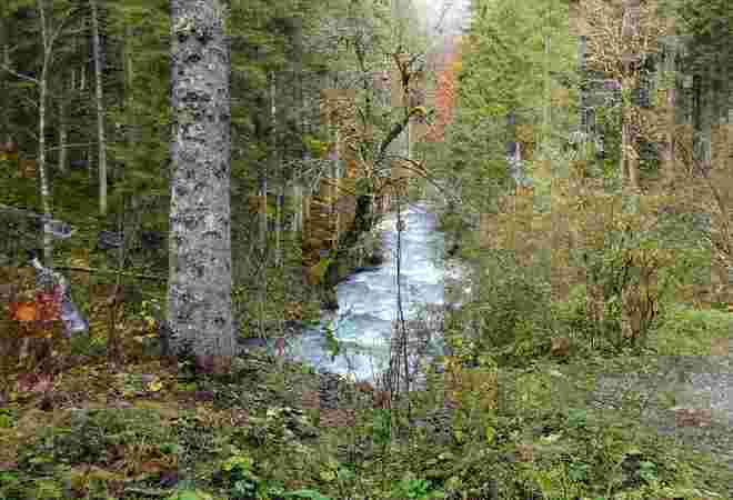 Natur pur