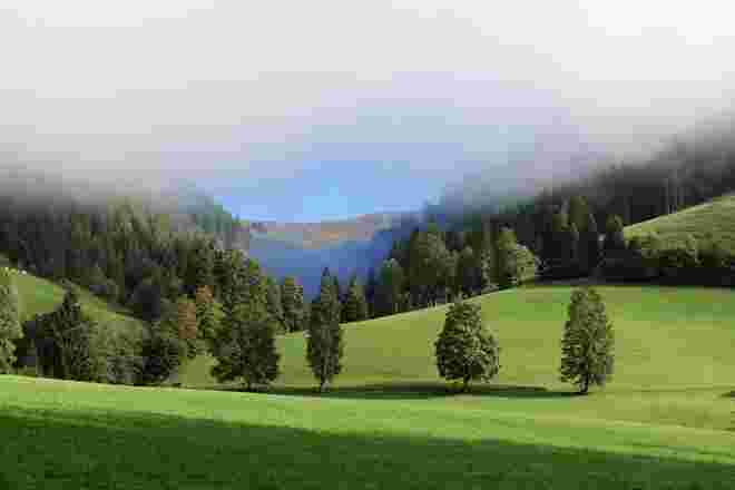 Herbstnebel !