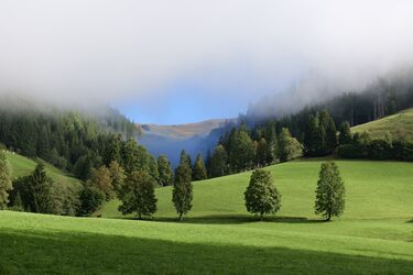 Herbstnebel !