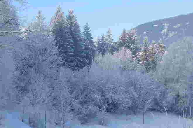 Ein kalter Wintermorgen