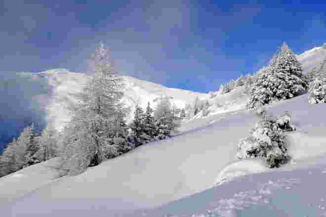 Neuschnee, Sonne - ein herrlicher Wintertag