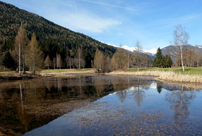 Zarter Frühling wird sichtbar