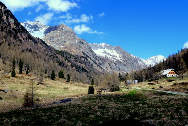 Der Almsommer muss noch warten