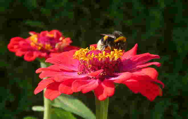 Besuch...