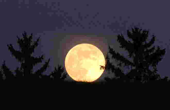 Vollmond
