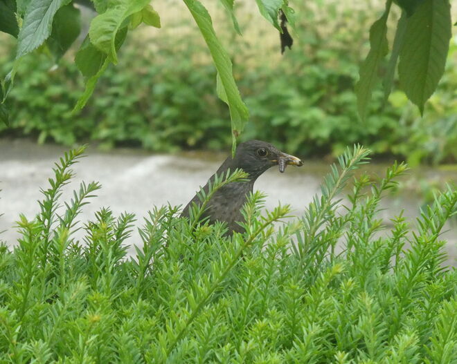 jetzt gehts ans fütterm...