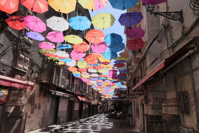 Viele Schirme über Catania (1)