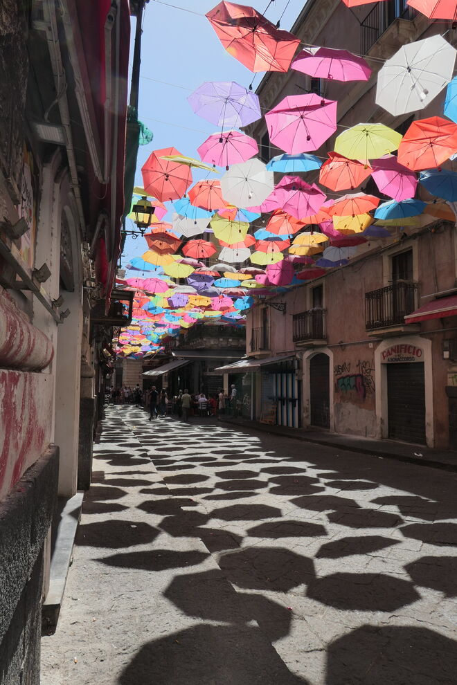 Viele Schirme über Catania (2)