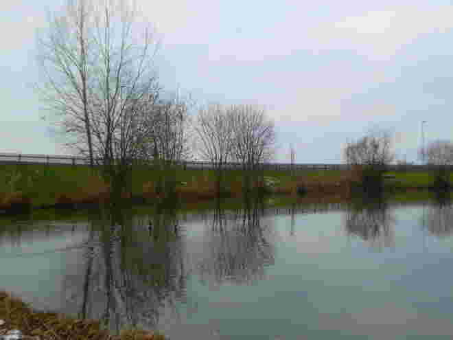 der Teich..