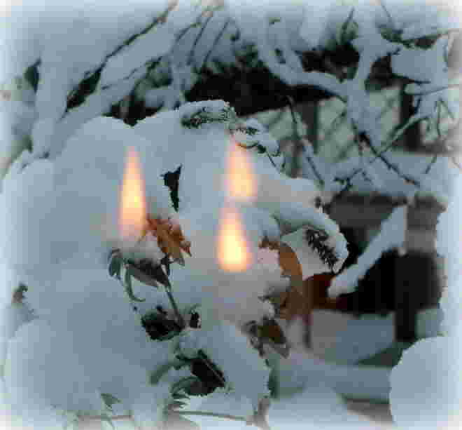 3. Advent