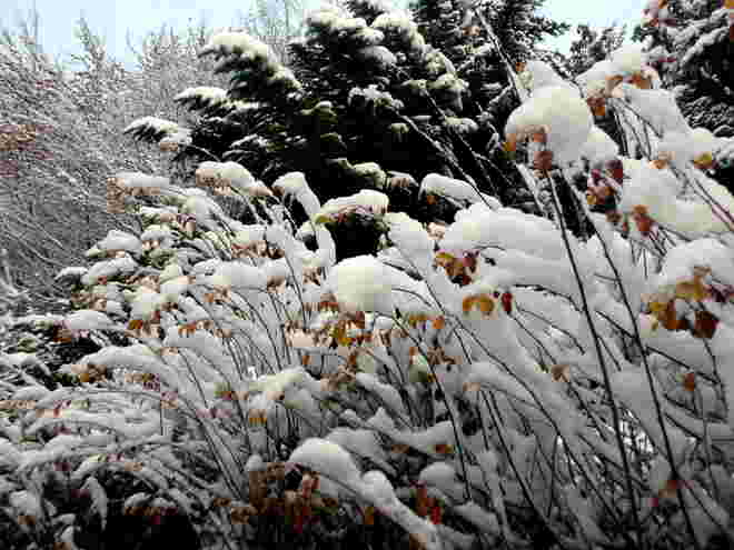 Wintereinbruch