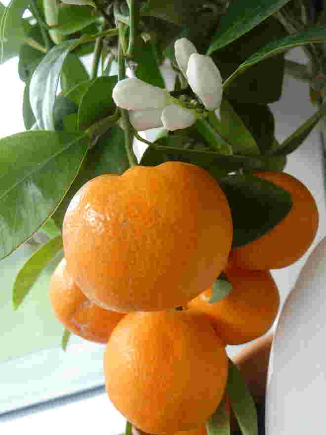 Erntezeit