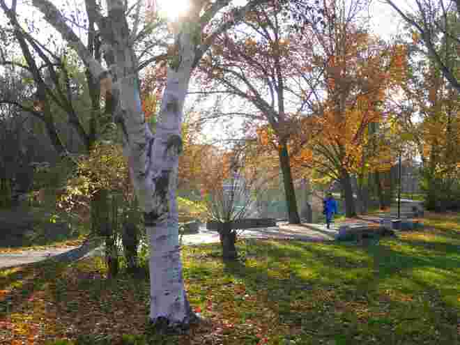 Flussidylle im Herbst