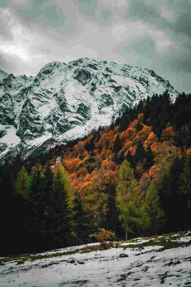 Herbst - Winter 