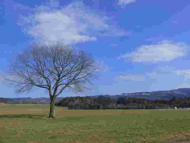 Haunsbergblick