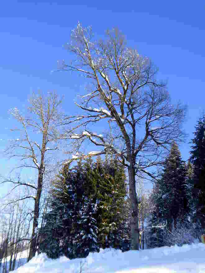 ein herrlicher Wintertag