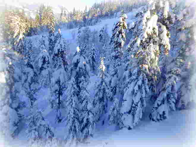 Winter