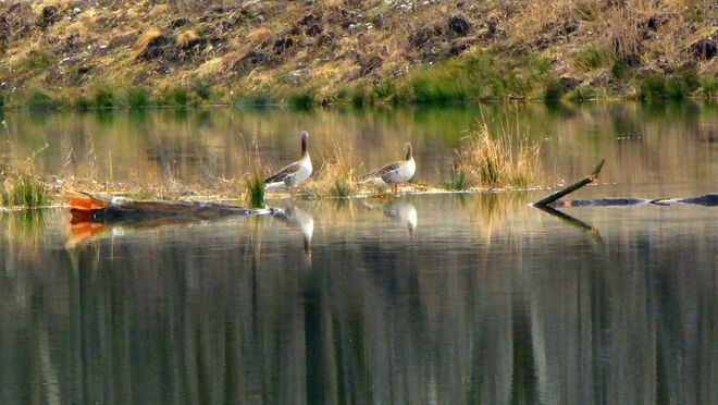 reges Treiben am See