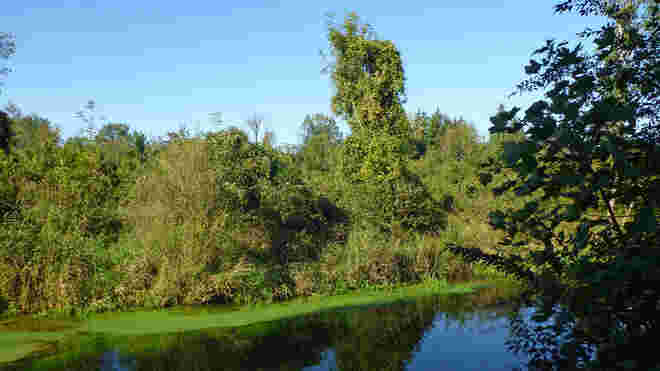 Am Quellbach