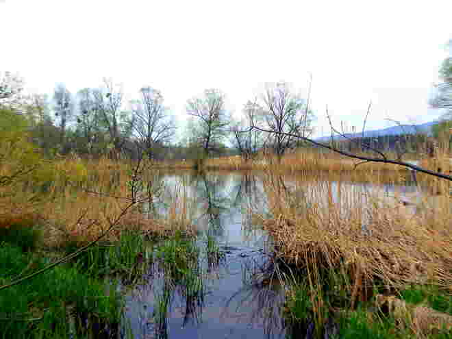 Natur pur