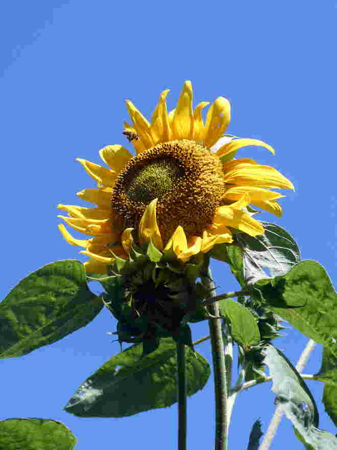 etwas Sonne...