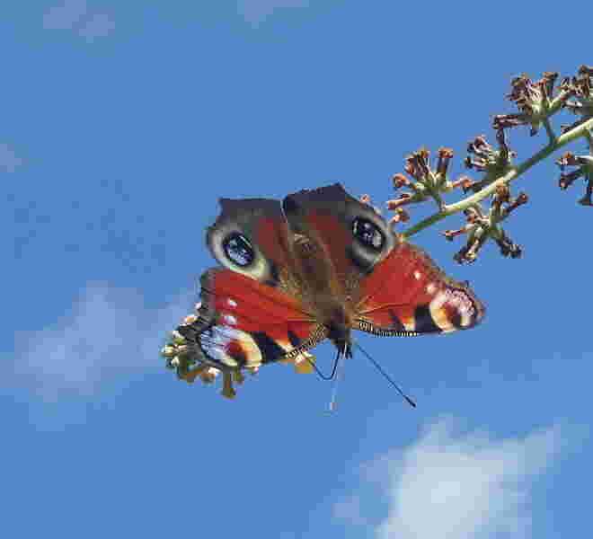 Sonntagsausflug