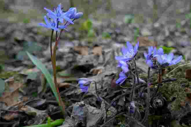 Blau und blau