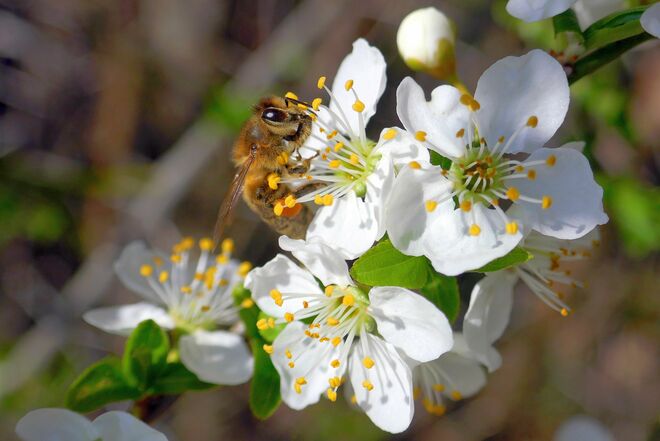 Ich komm mit der Arbeit nicht nach ...