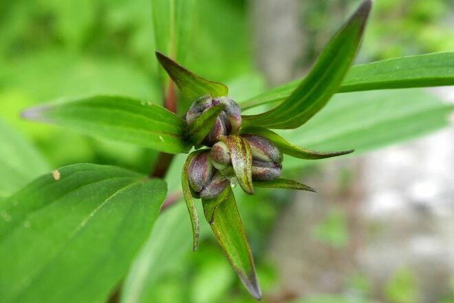 Was hab ich da gestern entdeckt?