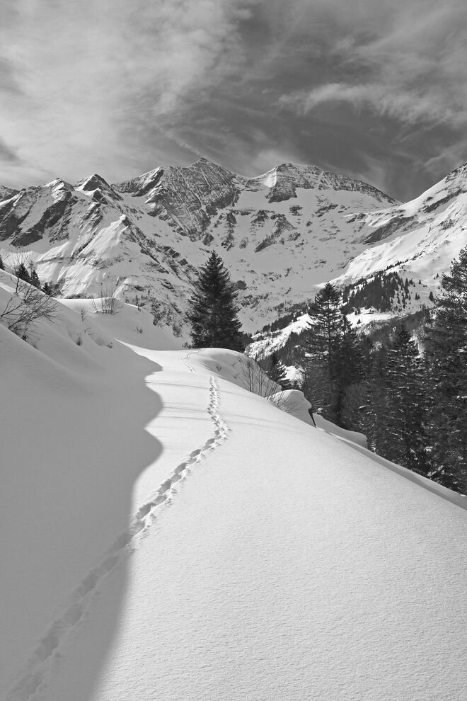 "Wege, die in die Zukunft führen, liegen nie als Wege vor uns. Sie werden zu Wegen erst dadurch, dass man sie geht." (Franz Kafka)
