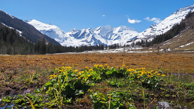 Atemberaubende Momente