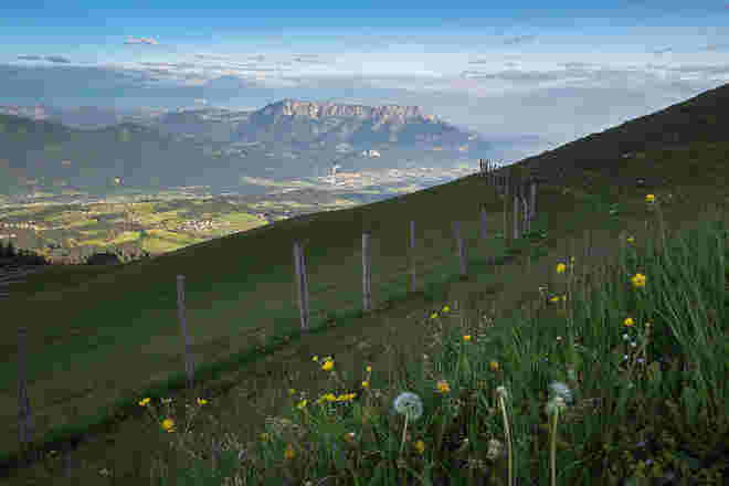 Der Almsommer beginnt auf der Trattberg-Alm