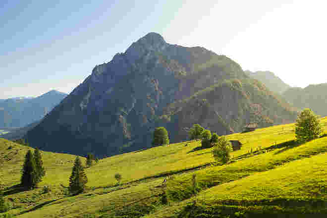 Morgenstunden auf der Postalm