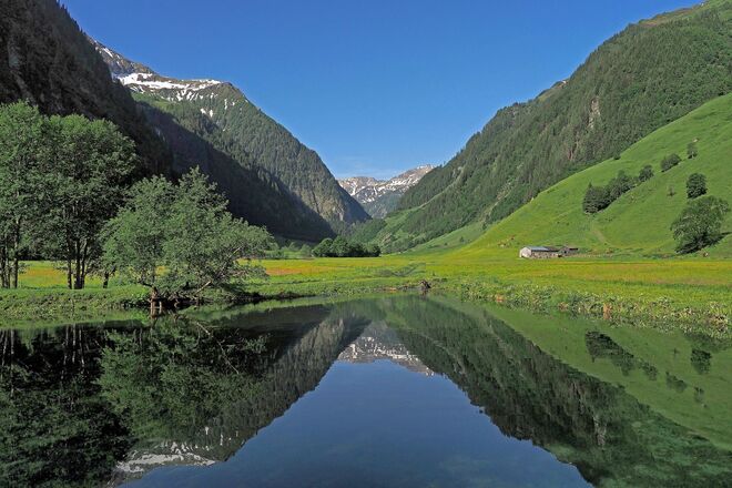 Die Energiequelle NATUR ist für uns alle da - bedingungslos und gratis.