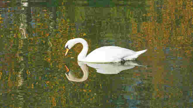 Spieglein, Spieglein an der Wand, wer ist ......?