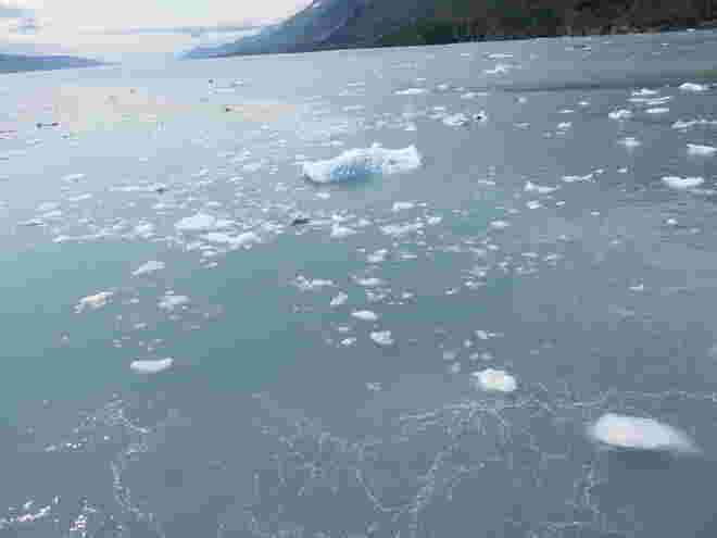 Gute Reise  ihr "Eisberge" 
