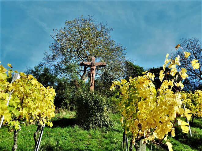 Weinbau - göttlich beschützt