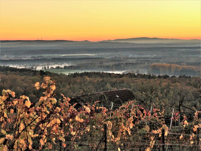 Abendschwere über der Landschaft