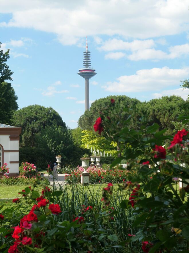 Blüten und Turm
