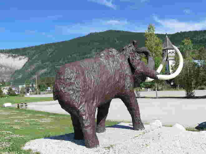 (CDN-6) Mammut - so groß waren die urzeitlichen Elefanten