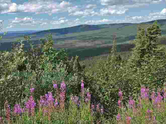 "Top of the World" - Highway (CDN-6)