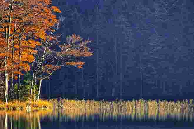 Der Herbst ist ein zweiter Frühling...... Albert Camus