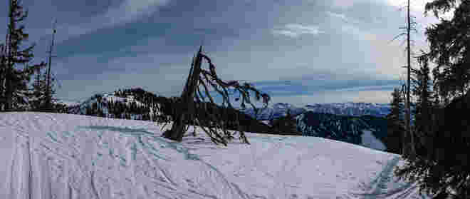 Am Weg zum Schneeberg 